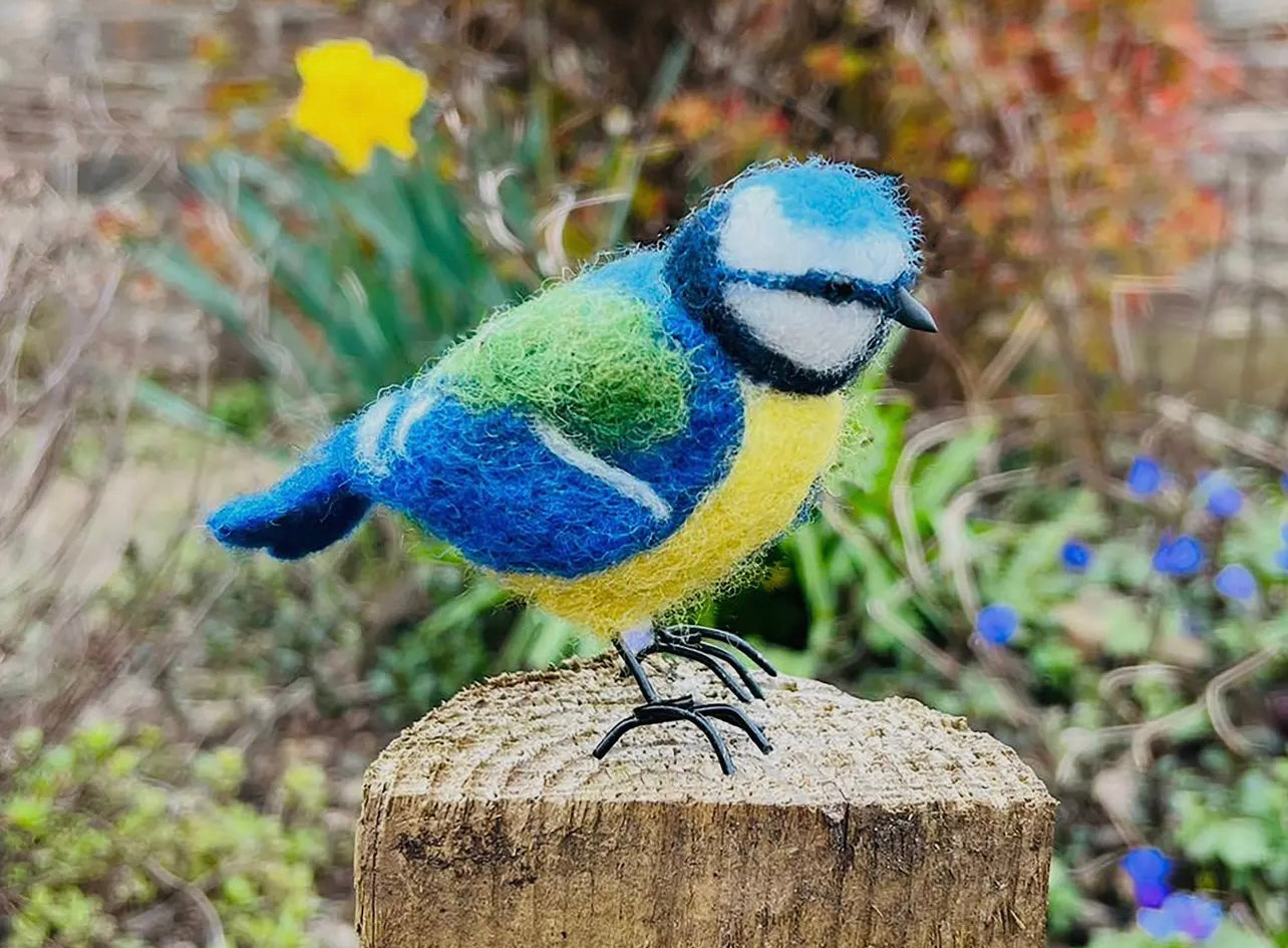 Blue Tit Needle Felt Kit