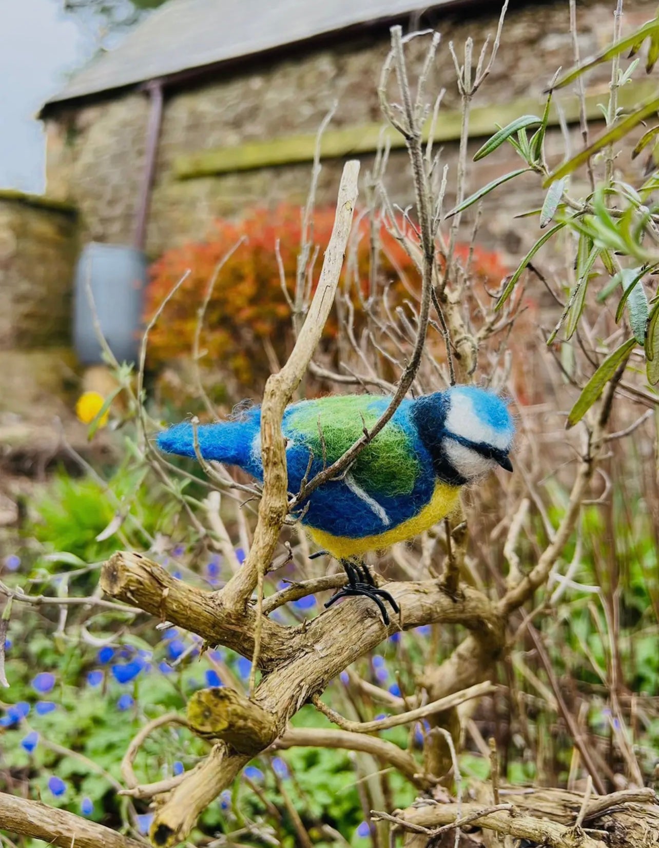 Blue Tit Needle Felt Kit