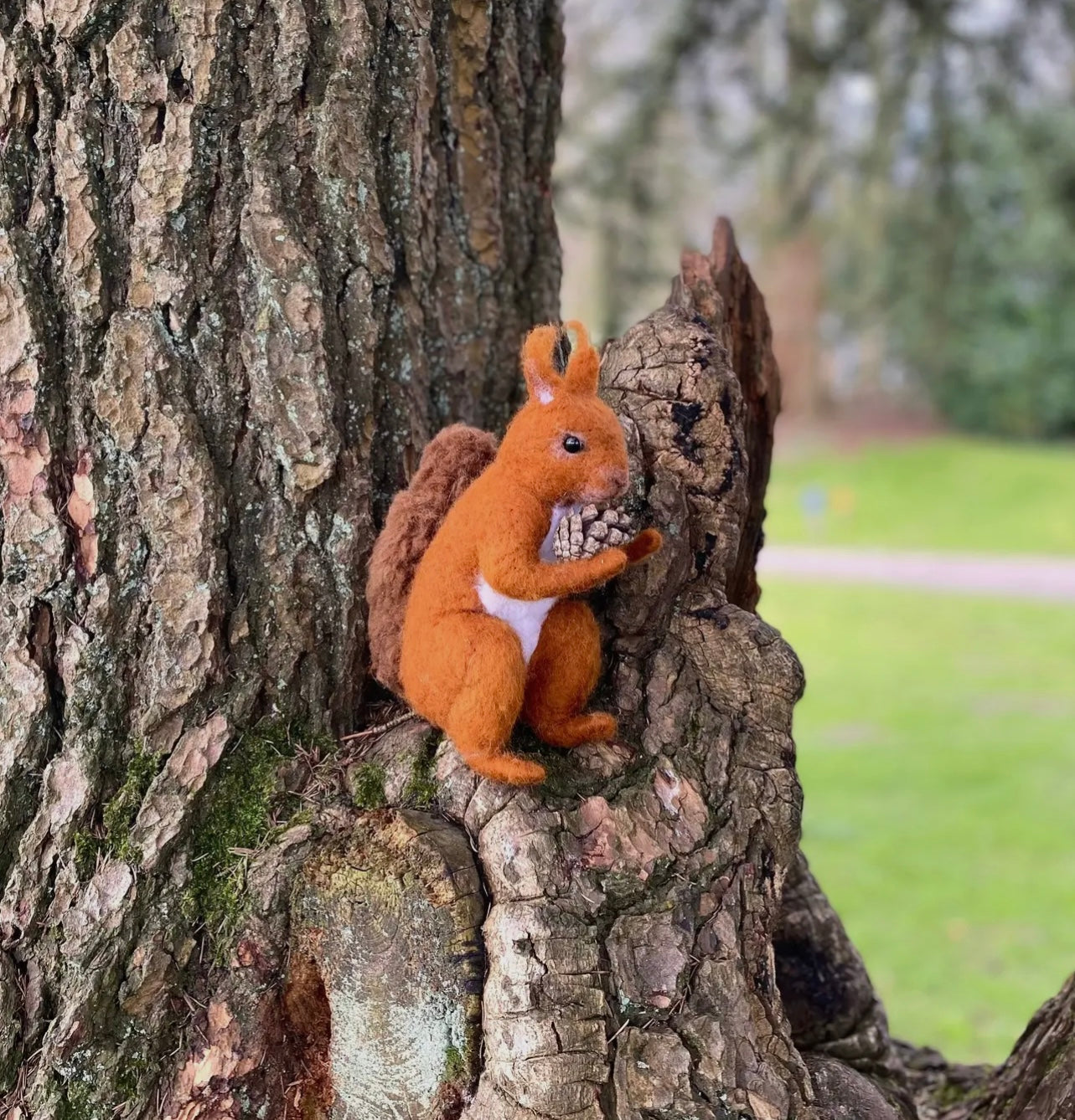 Red Squirrel Needle Felting Kit