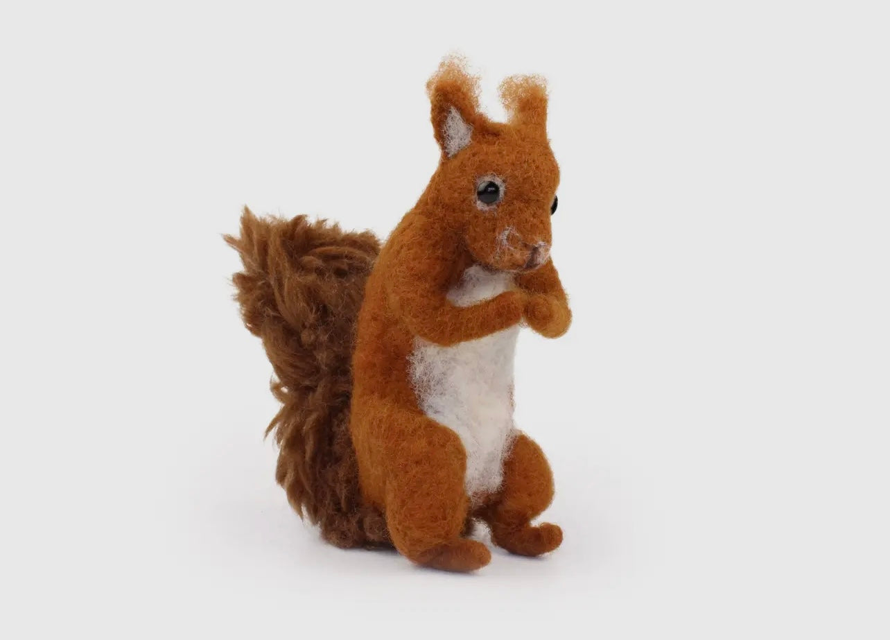 Red Squirrel Needle Felting Kit
