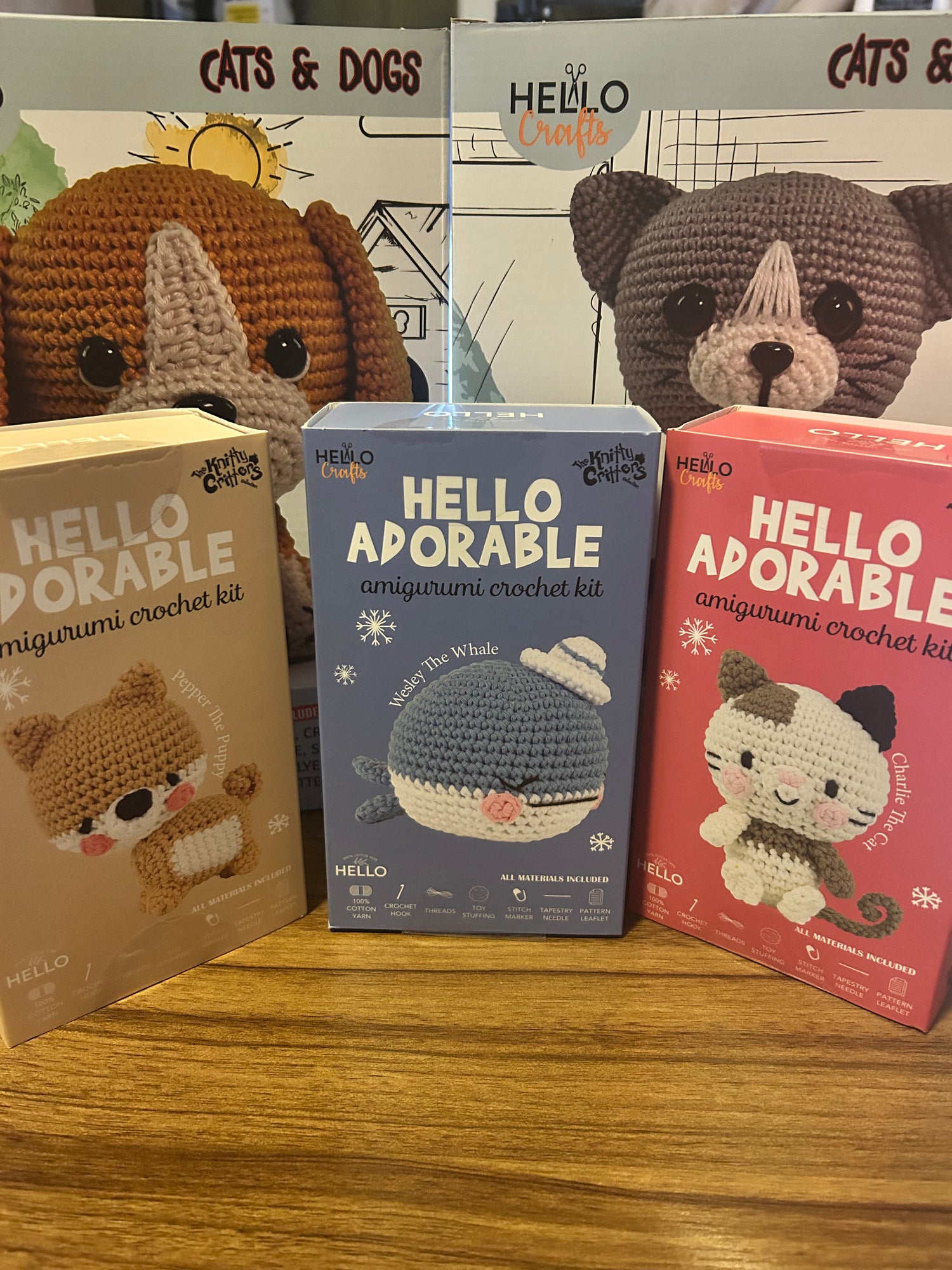 Craft Kits